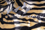 Tiger Skin