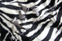 Zebra Skin
